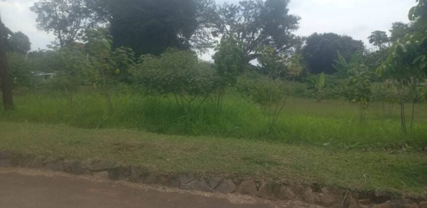 Land for sale